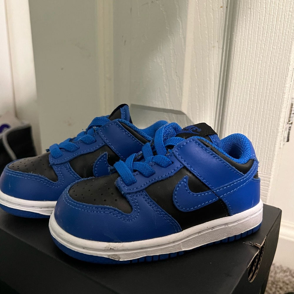 Toddler Nike Dunk Lows 6C